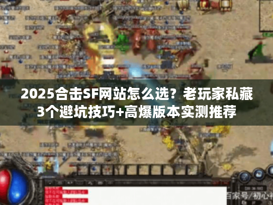 2025合击SF网站怎么选？老玩家私藏3个避坑技巧+高爆版本实测推荐