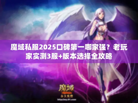 魔域私服2025口碑第一哪家强？老玩家实测3服+版本选择全攻略