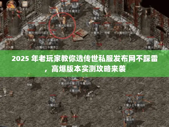 2025 年老玩家教你选传世私服发布网不踩雷，高爆版本实测攻略来袭