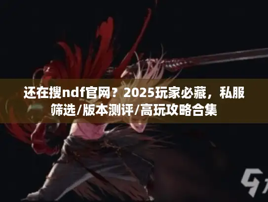 还在搜ndf官网？2025玩家必藏，私服筛选/版本测评/高玩攻略合集