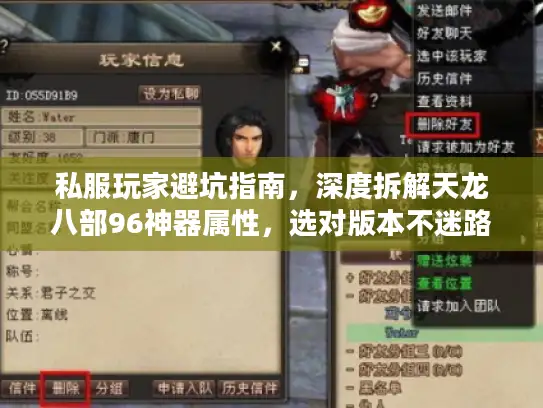 私服玩家避坑指南，深度拆解天龙八部96神器属性，选对版本不迷路