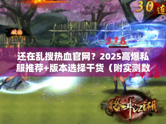 还在乱搜热血官网？2025高爆私服推荐+版本选择干货（附实测数据）