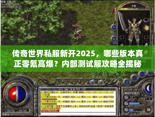 传奇世界私服新开2025，哪些版本真正零氪高爆？内部测试服攻略全揭秘！