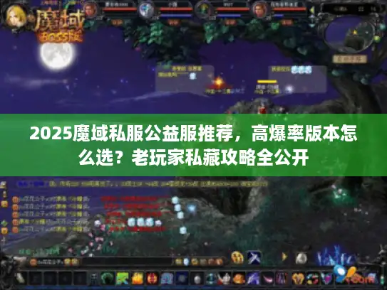 2025魔域私服公益服推荐，高爆率版本怎么选？老玩家私藏攻略全公开