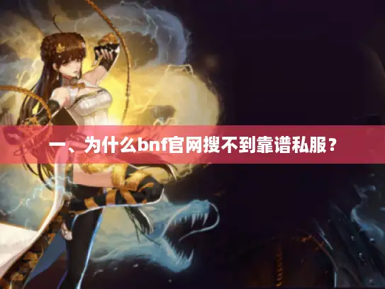 一、为什么bnf官网搜不到靠谱私服？