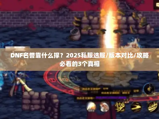 DNF名誉靠什么撑？2025私服选服/版本对比/攻略必看的3个真相