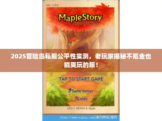 2025冒险岛私服公平性实测，老玩家揭秘不氪金也能爽玩的服！