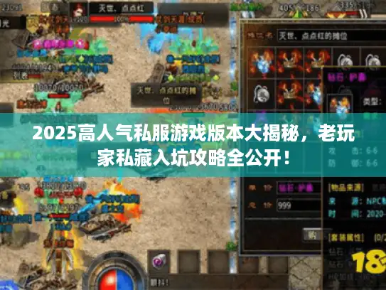 2025高人气私服游戏版本大揭秘，老玩家私藏入坑攻略全公开！