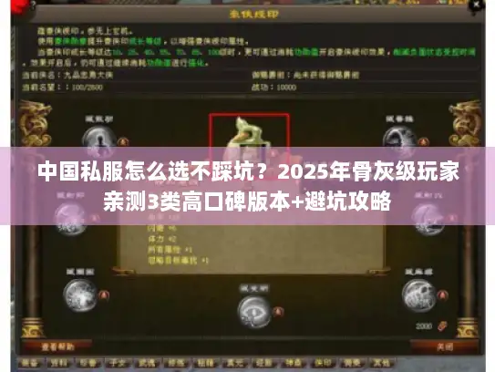 中国私服怎么选不踩坑？2025年骨灰级玩家亲测3类高口碑版本+避坑攻略