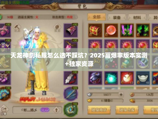 天龙神剑私服怎么选不踩坑？2025高爆率版本实测+独家资源