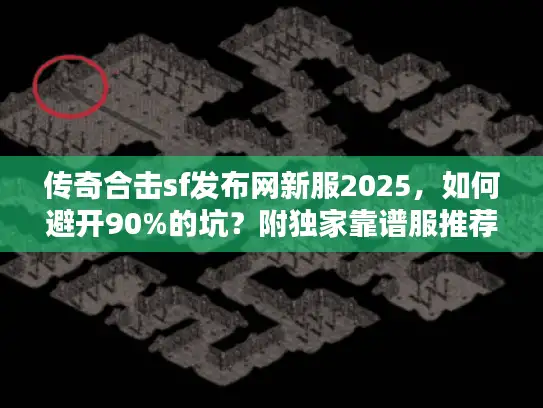 传奇合击sf发布网新服2025，如何避开90%的坑？附独家靠谱服推荐