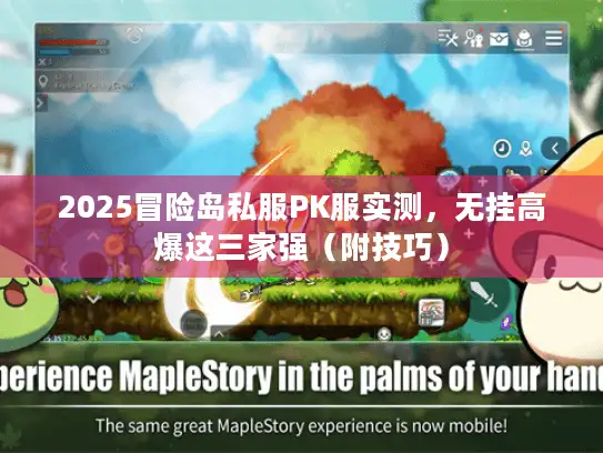 2025冒险岛私服PK服实测，无挂高爆这三家强（附技巧）