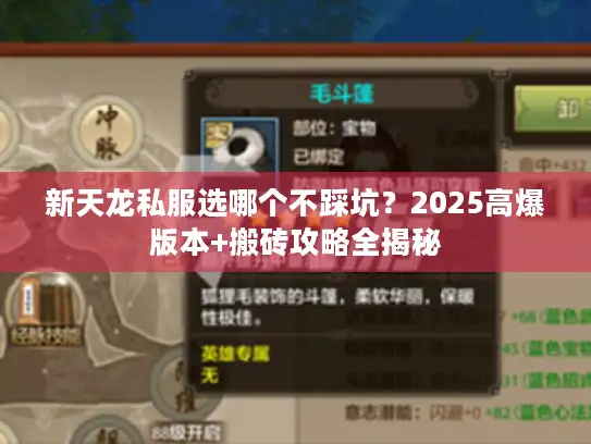 新天龙私服选哪个不踩坑？2025高爆版本+搬砖攻略全揭秘