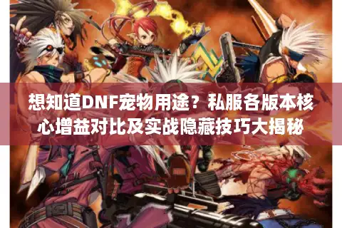 想知道DNF宠物用途?私服各版本核心增益对比及实战隐藏技巧大揭秘 想知道DNF宠物用途?私服各版本核心增益对比及实战隐藏技巧大揭秘
