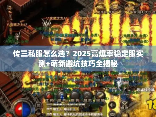 传三私服怎么选?2025高爆率稳定服实测+萌新避坑技巧全揭秘 传三私服怎么选?2025高爆率稳定服实测+萌新避坑技巧全揭秘