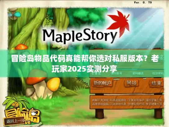 冒险岛物品代码真能帮你选对私服版本？老玩家2025实测分享