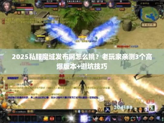 2025私服魔域发布网怎么挑？老玩家亲测3个高爆版本+避坑技巧