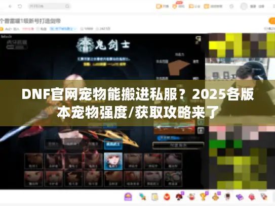 DNF官网宠物能搬进私服？2025各版本宠物强度/获取攻略来了