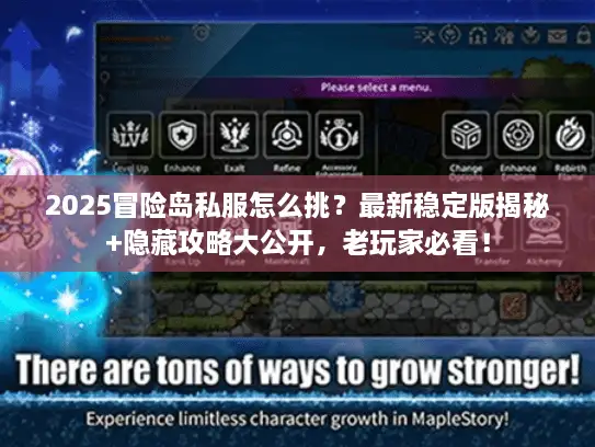 2025冒险岛私服怎么挑?最新稳定版揭秘+隐藏攻略大公开,老玩家必看! 2025冒险岛私服怎么挑?最新稳定版揭秘+隐藏攻略大公开,老玩家必看!