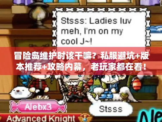 冒险岛维护时该干嘛？私服避坑+版本推荐+攻略内幕，老玩家都在看！