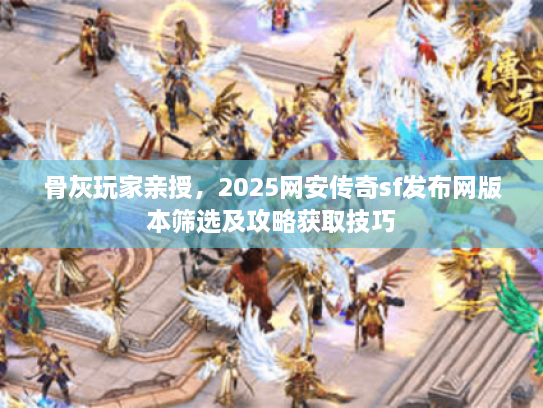 骨灰玩家亲授，2025网安传奇sf发布网版本筛选及攻略获取技巧