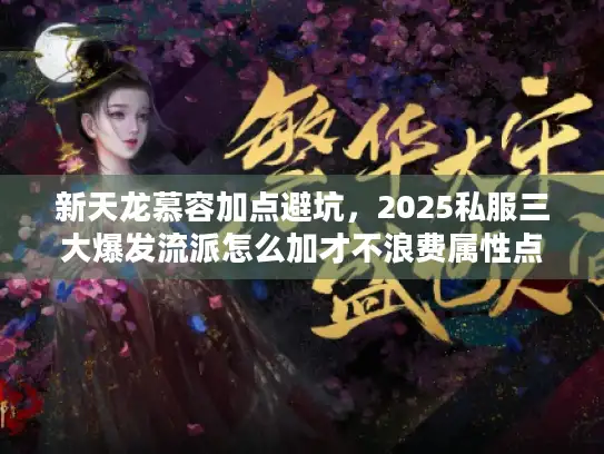 新天龙慕容加点避坑,2025私服三大爆发流派怎么加才不浪费属性点? 新天龙慕容加点避坑,2025私服三大爆发流派怎么加才不浪费属性点?