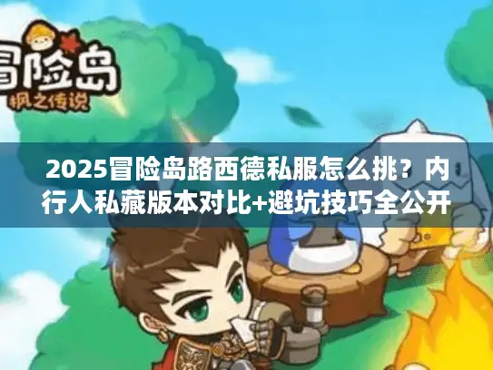 2025冒险岛路西德私服怎么挑？内行人私藏版本对比+避坑技巧全公开！