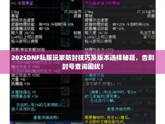 2025DNF私服玩家防封技巧及版本选择秘籍，告别封号查询困扰！