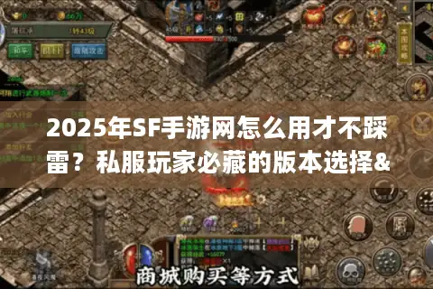 2025年SF手游网怎么用才不踩雷？私服玩家必藏的版本选择&攻略秘籍