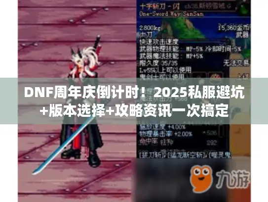 DNF周年庆倒计时！2025私服避坑+版本选择+攻略资讯一次搞定