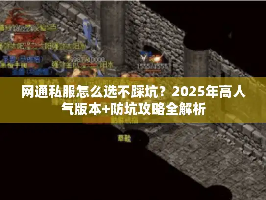 网通私服怎么选不踩坑？2025年高人气版本+防坑攻略全解析