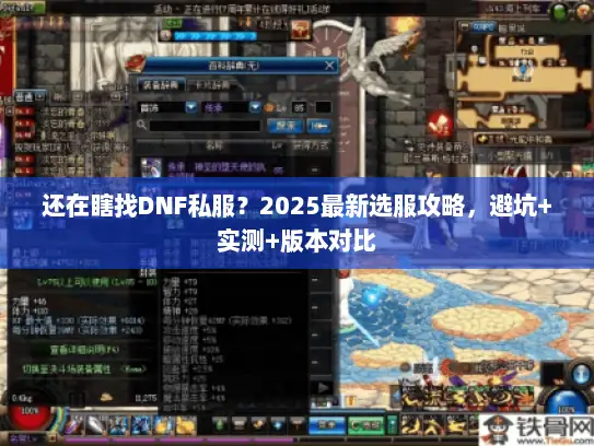 还在瞎找DNF私服？2025最新选服攻略，避坑+实测+版本对比