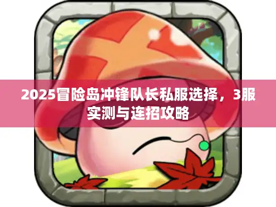 2025冒险岛冲锋队长私服选择,3服实测与连招攻略 2025冒险岛冲锋队长私服选择,3服实测与连招攻略