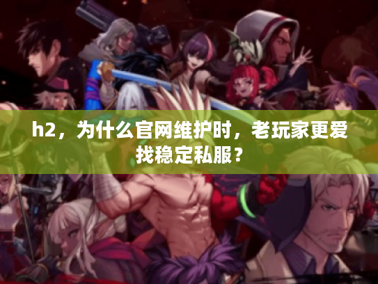 h2，为什么官网维护时，老玩家更爱找稳定私服？
