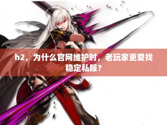 h2，为什么官网维护时，老玩家更爱找稳定私服？
