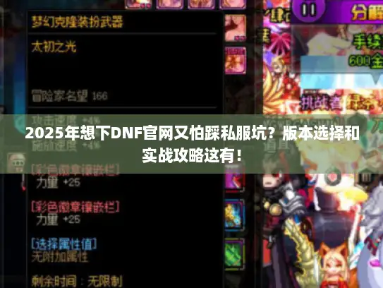2025年想下DNF官网又怕踩私服坑？版本选择和实战攻略这有！