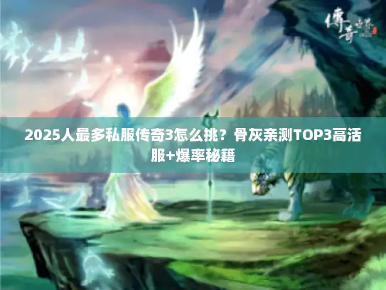2025人最多私服传奇3怎么挑？骨灰亲测TOP3高活服+爆率秘籍