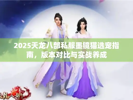 2025天龙八部私服墨镜猫选宠指南，版本对比与实战养成