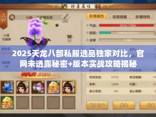 2025天龙八部私服选品独家对比，官网未透露秘密+版本实战攻略揭秘
