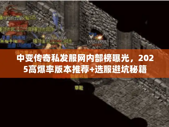 中变传奇私发服网内部榜曝光，2025高爆率版本推荐+选服避坑秘籍