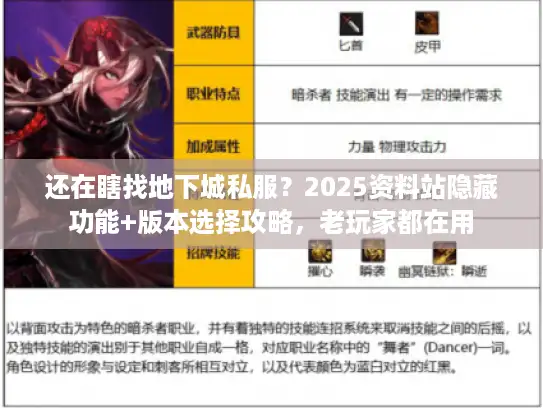 还在瞎找地下城私服？2025资料站隐藏功能+版本选择攻略，老玩家都在用