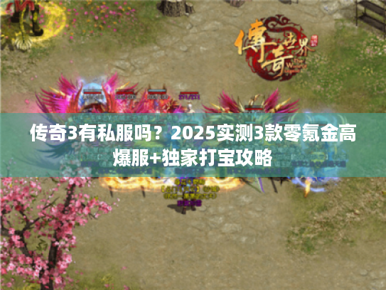 传奇3有私服吗？2025实测3款零氪金高爆服+独家打宝攻略