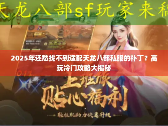 2025年还愁找不到适配天龙八部私服的补丁？高玩冷门攻略大揭秘