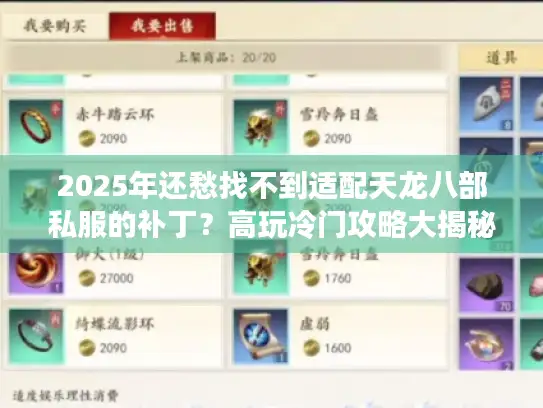 2025年还愁找不到适配天龙八部私服的补丁？高玩冷门攻略大揭秘