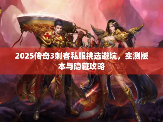 2025传奇3刺客私服挑选避坑，实测版本与隐藏攻略