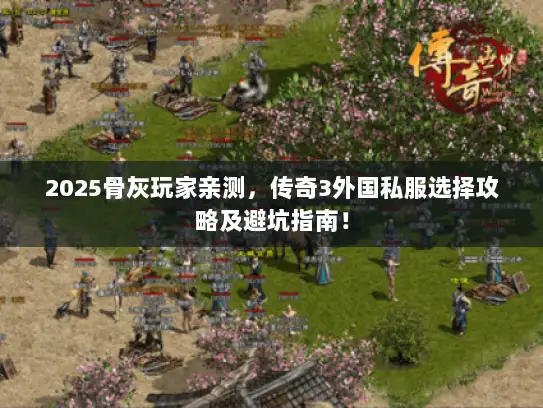 2025骨灰玩家亲测，传奇3外国私服选择攻略及避坑指南！