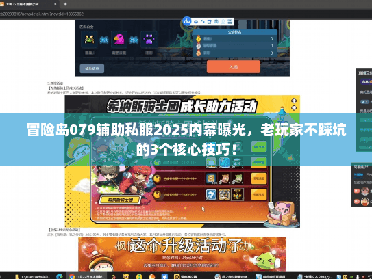 冒险岛079辅助私服2025内幕曝光，老玩家不踩坑的3个核心技巧！
