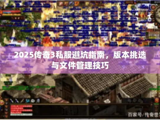 2025传奇3私服避坑指南，版本挑选与文件管理技巧