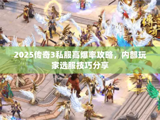 2025传奇3私服高爆率攻略,内部玩家选服技巧分享 2025传奇3私服高爆率攻略,内部玩家选服技巧分享