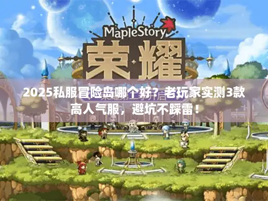 2025私服冒险岛哪个好？老玩家实测3款高人气服，避坑不踩雷！